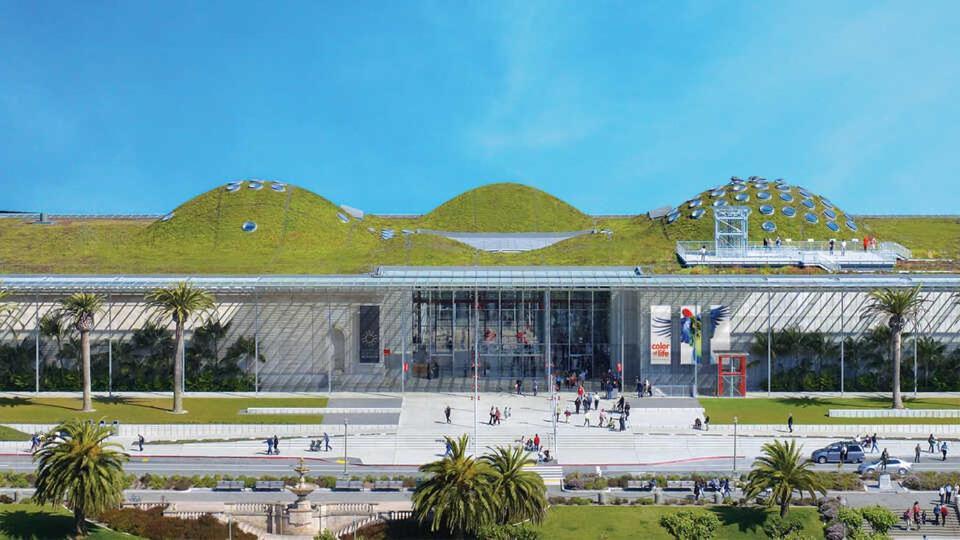Golden Gate Park Suite San Francisco Dış mekan fotoğraf