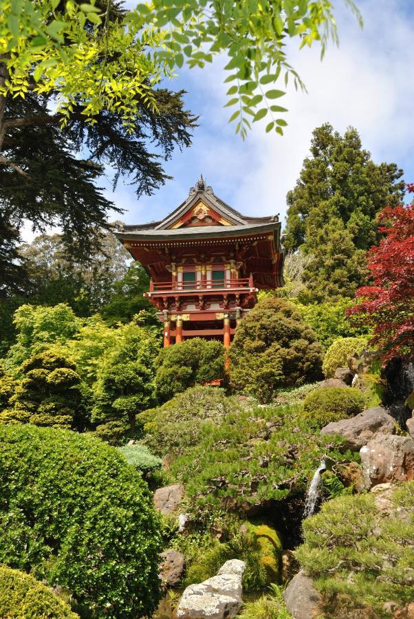 Golden Gate Park Suite San Francisco Dış mekan fotoğraf