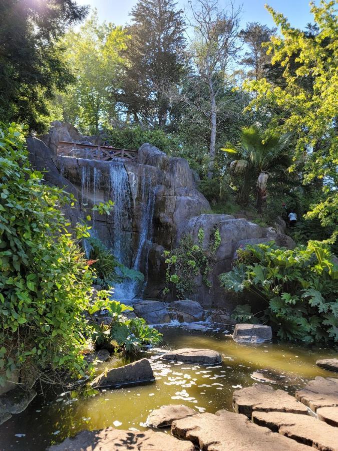 Golden Gate Park Suite San Francisco Dış mekan fotoğraf